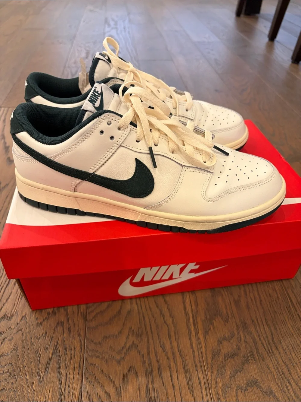 Nike Dunk Low